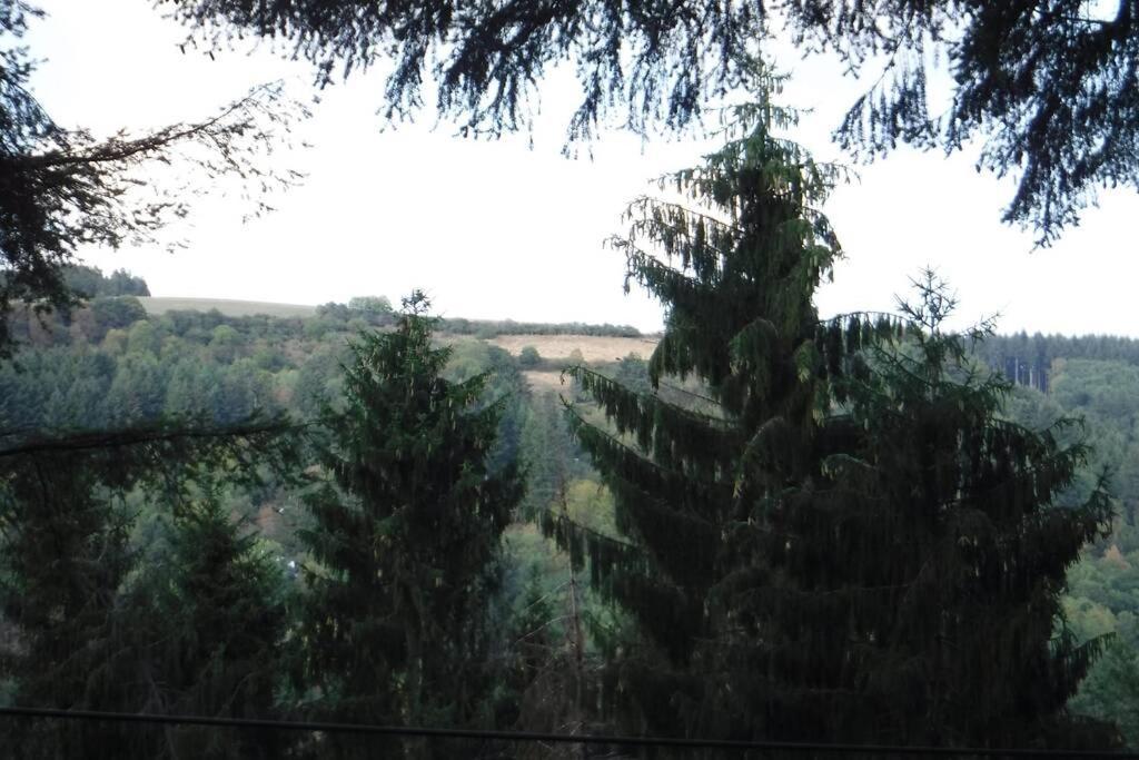 The Vianden Cottage - Charming Cottage In The Forest Экстерьер фото